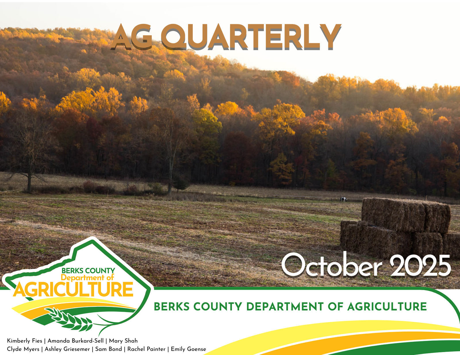Picture of square hay bales in field with fall trees behind