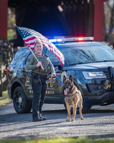 County Of Berks - K9 Gallery