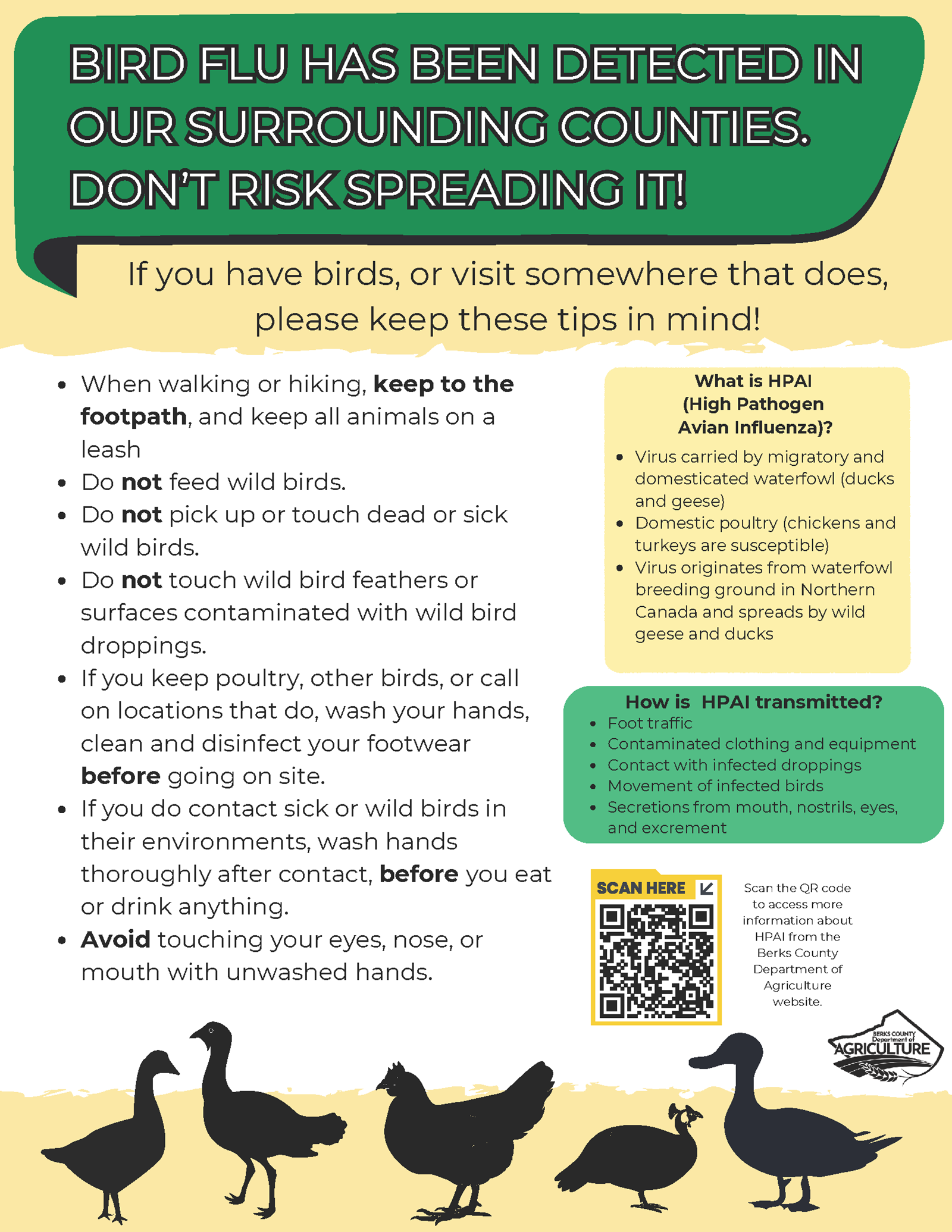 Flyer with Bird Flu information and pictures of poultry